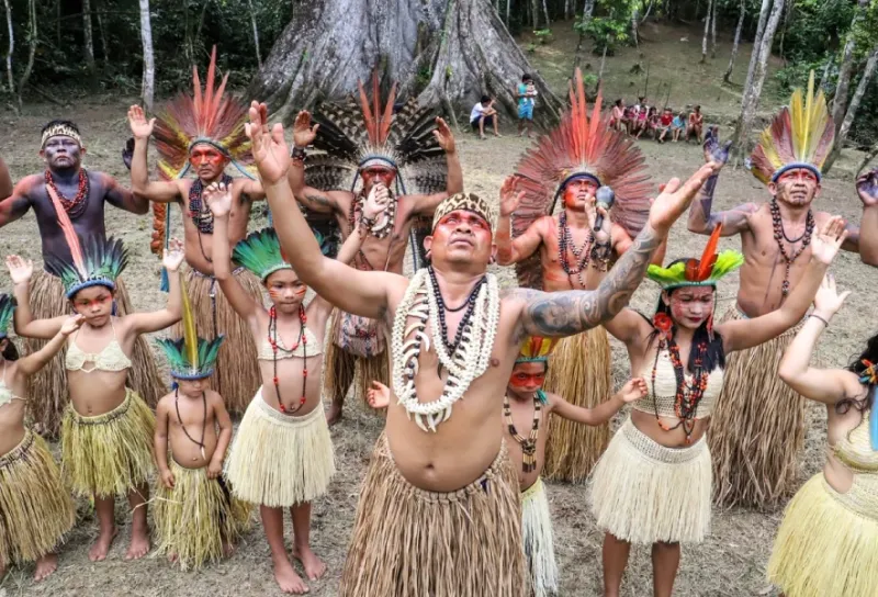 Exploração na Serra do Divisor - image 2