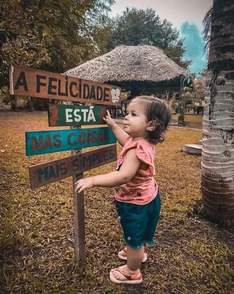 A Experiência - image 5