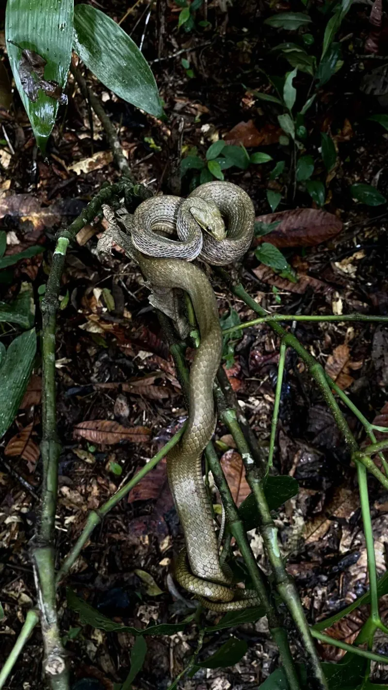 Aventura Científica de 5 - image 6