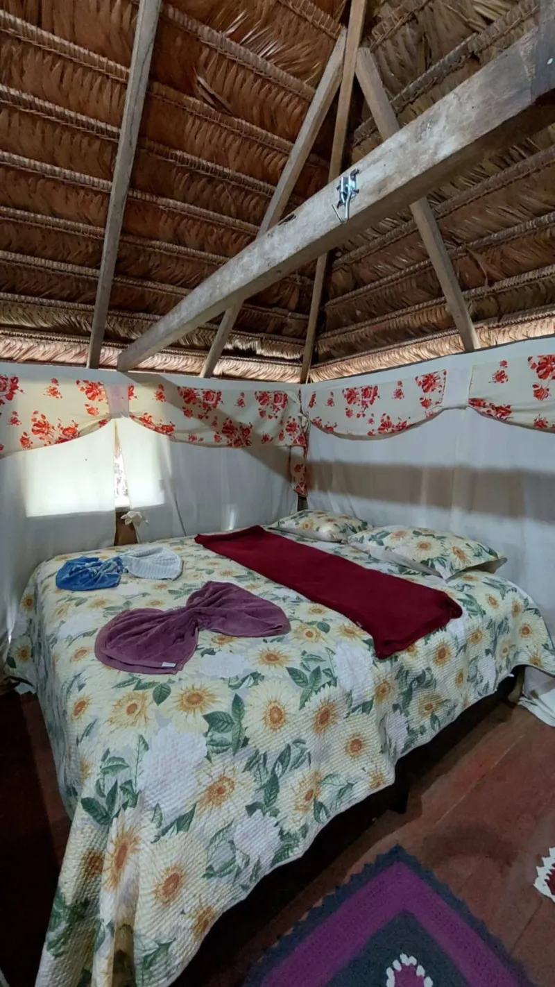 A Experiência - image 1