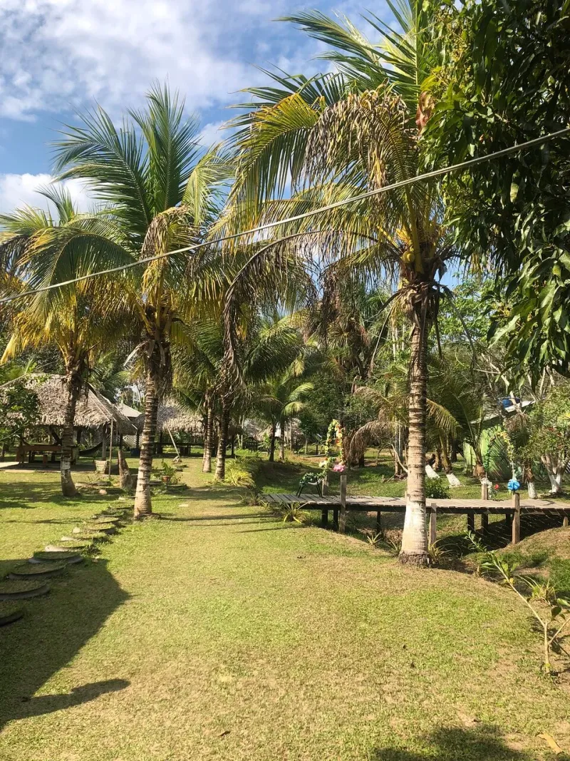 A Experiência - image 6