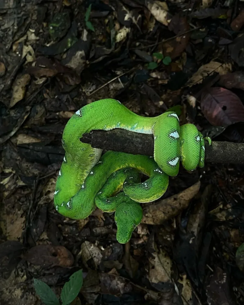 Aventura Científica de 5 - image 3